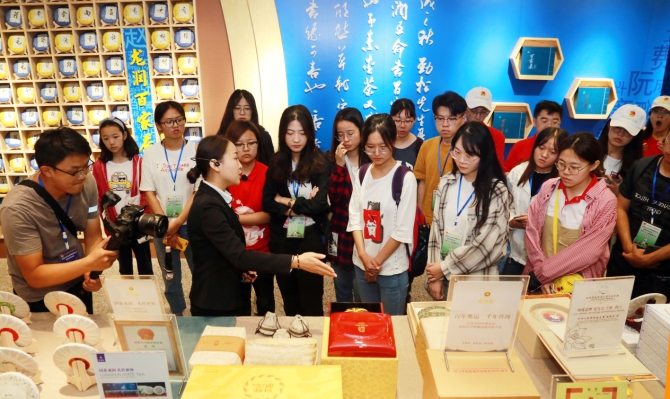 大學(xué)們參觀云南龍潤茶葉集團(tuán)