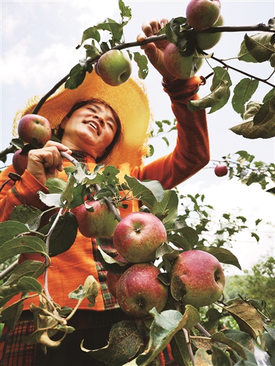 00300792733_539bfb06 00300792733_539bfb06