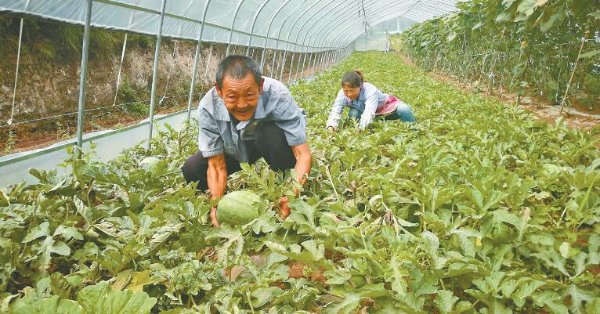 00300780251_83cdab83 00300780251_83cdab83