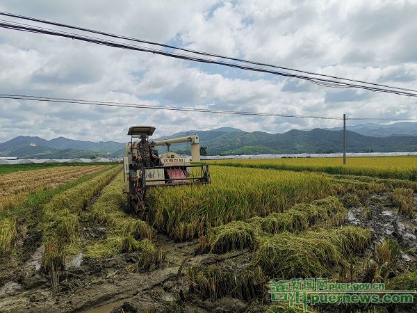 00300779567_8008a2fd 00300779567_8008a2fd