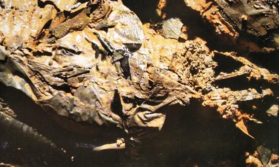 刀光劍影:盤點劉賀墓中的漢代兵器 刀光劍影:盤點劉賀墓中的漢代兵器