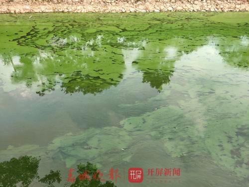 binary_middle (4).jpg