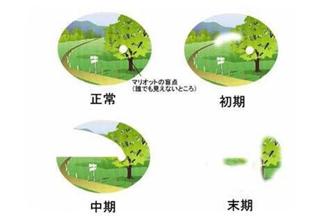 網(wǎng)絡(luò)配圖1 網(wǎng)絡(luò)配圖1