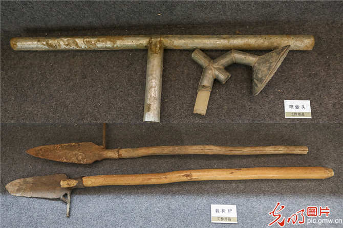 f44d3075890f1eaa47164b2