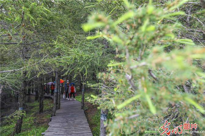 f44d3075890f1eaa47924e5