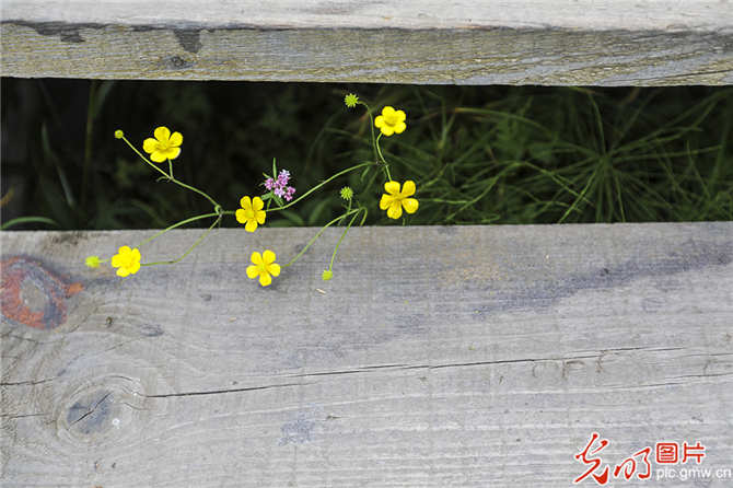 f44d3075890f1eaa47be4f6