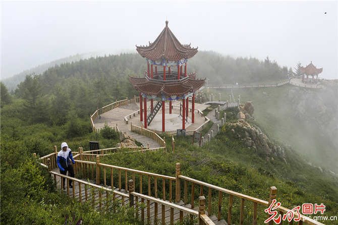 f44d3075890f1eaa481b529