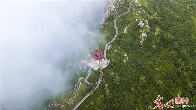 f44d3075890f1eaa48395310