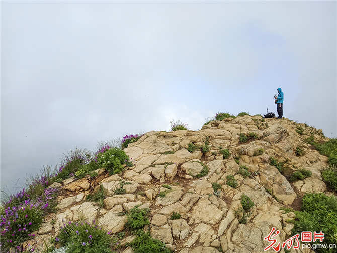 f44d3075890f1eaa489e5613