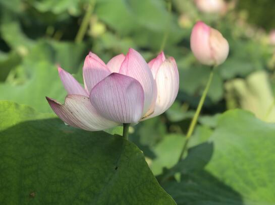 QQ截圖20190805133603