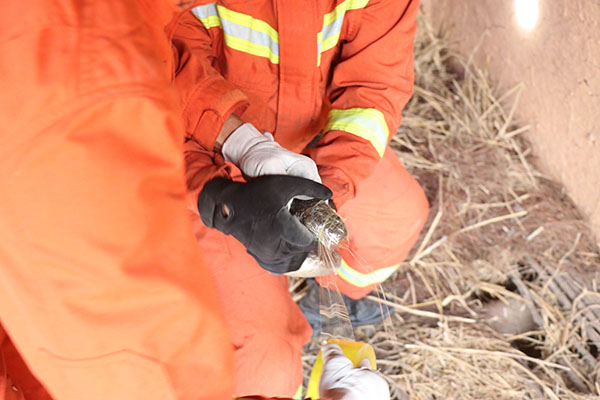 微信圖片_20190805143026 微信圖片_20190805143026