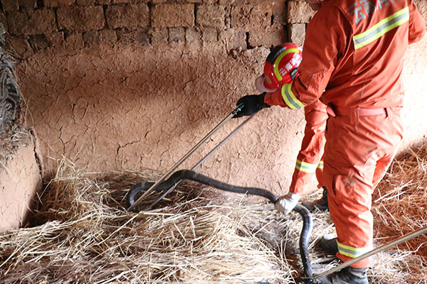 微信圖片_20190805142826 微信圖片_20190805142826