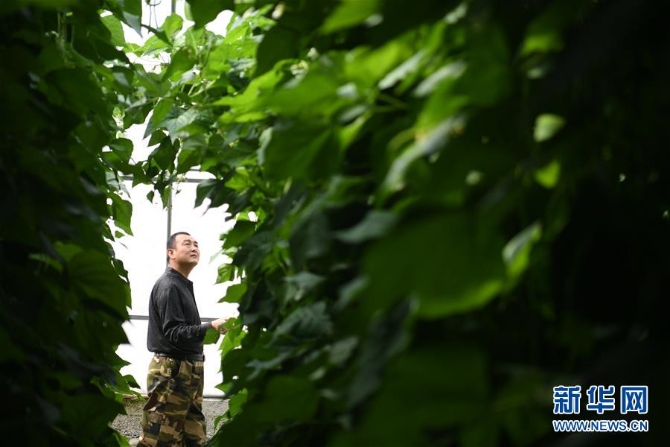 (壯麗70年·奮斗新時(shí)代——共和國(guó)發(fā)展成就巡禮·圖文互動(dòng))(7)以“綠色”身姿站上發(fā)展前沿——甘肅綠色轉(zhuǎn)型發(fā)展紀(jì)實(shí)