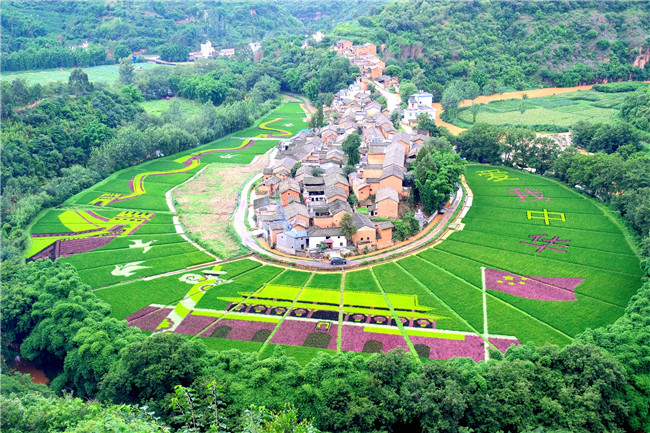 DSCF0915_副本_副本