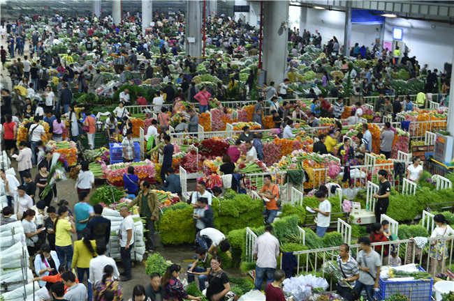 圖片3  斗南花花世界主場館夜間交易盛況。