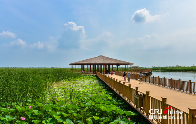 圖片默認(rèn)標(biāo)題_fororder_圖片1