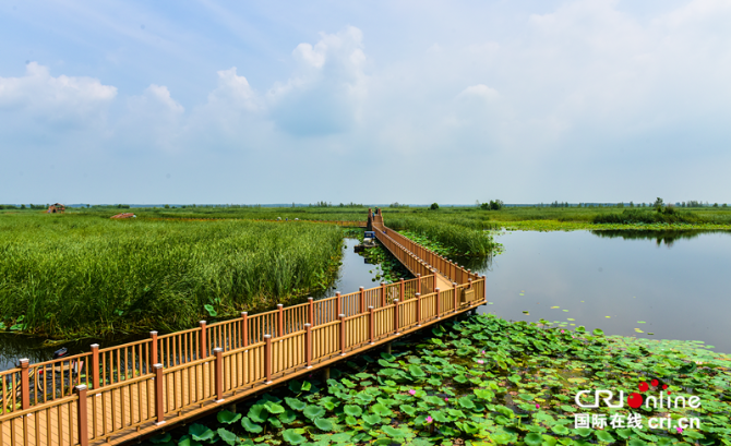 圖片默認(rèn)標(biāo)題_fororder_圖片2