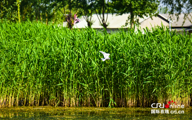 圖片默認(rèn)標(biāo)題_fororder_圖片5