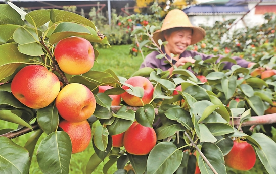 QQ截圖20190806081031