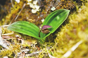 20190806A02_res04_attpic_icon