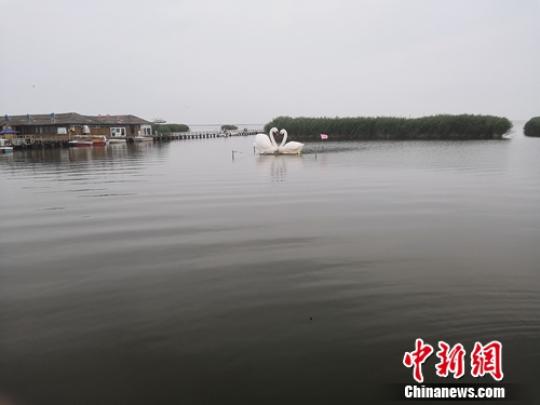 圖為烏梁素海?！∮跁?攝