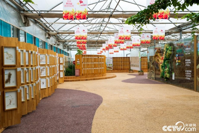 【新時(shí)代·幸福美麗新邊疆】小草也有大講究 “智慧”開出生態(tài)修復(fù)新“良方” 【新時(shí)代·幸福美麗新邊疆】小草也有大講究 “智慧”開出生態(tài)修復(fù)新“良方”