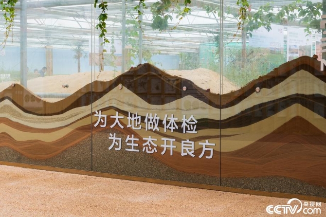 【新時(shí)代·幸福美麗新邊疆】小草也有大講究 “智慧”開出生態(tài)修復(fù)新“良方” 【新時(shí)代·幸福美麗新邊疆】小草也有大講究 “智慧”開出生態(tài)修復(fù)新“良方”