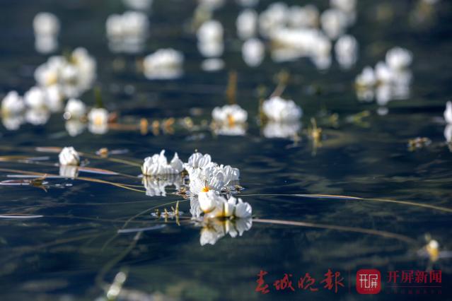 20190806135132595T75m