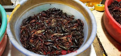 20190806164909U1QVT6n 20190806164909U1QVT6n