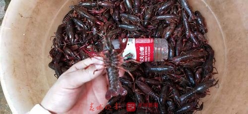 201908061649099R9NVKn 201908061649099R9NVKn