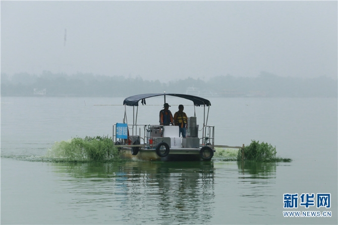 3按照工作安排，每天早上八點(diǎn)，張文建要和其他打撈工人分別乘船進(jìn)入滇池，巡查重點(diǎn)水域，定點(diǎn)打撈藍(lán)藻。隨著工作的深入，漸漸地，他覺得環(huán)境治理不是那么簡(jiǎn)單就能完成的。