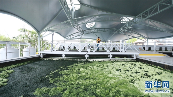 5但隨著時(shí)間推移，張文建開始感到枯燥和乏味，每天手工打撈，不僅耗時(shí)長(zhǎng)，而且收效甚微。