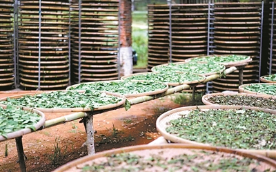 2990974_pengwei_1565260230771_b 2990974_pengwei_1565260230771_b