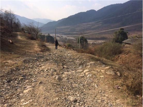 社區(qū)道路改造前。供圖