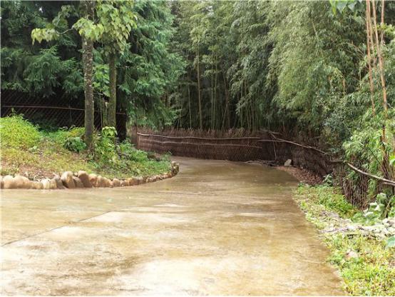 社區(qū)道路改造后。記者刁鳳云攝