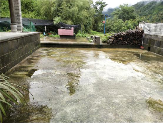 邊民周成林家整潔的小院。記者刁鳳云攝