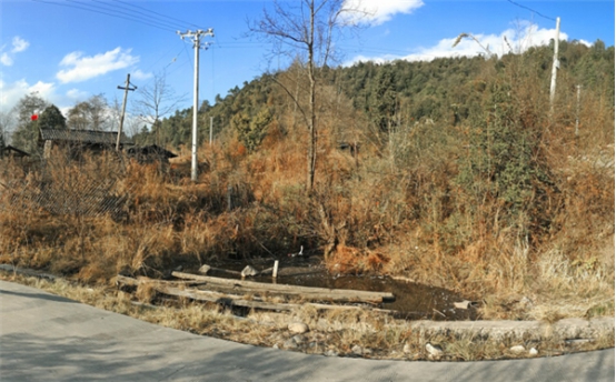 水池改造前。供圖