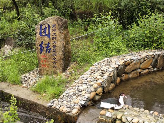 水池改造后。記者刁鳳云攝