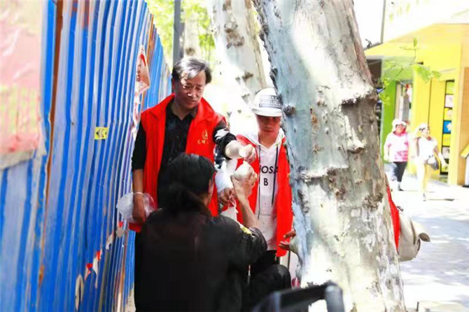 微信圖片_20190811185447 微信圖片_20190811185447