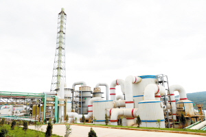 81361565542048537 81361565542048537