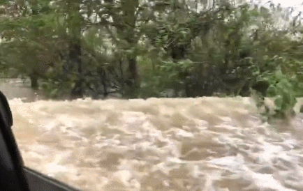 狂風(fēng)暴雨，總有人用盡全力默默保護(hù)你