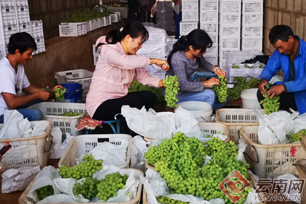 00300837153_881a47f6