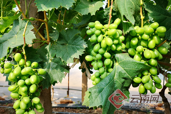 00300837157_d56e801c