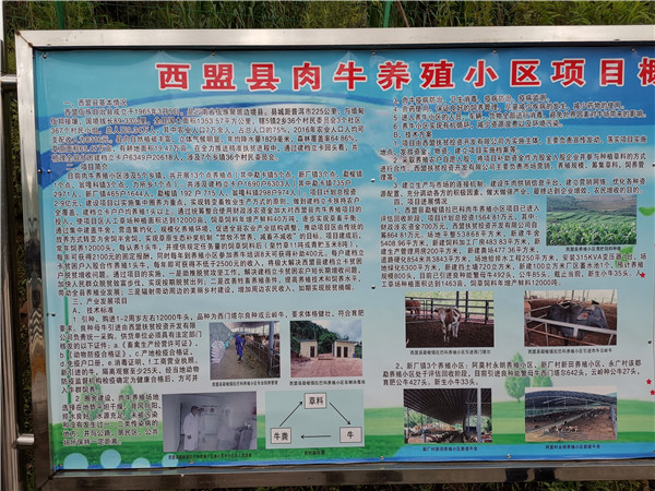 西盟縣肉牛產業(yè)精準扶貧開發(fā)項目