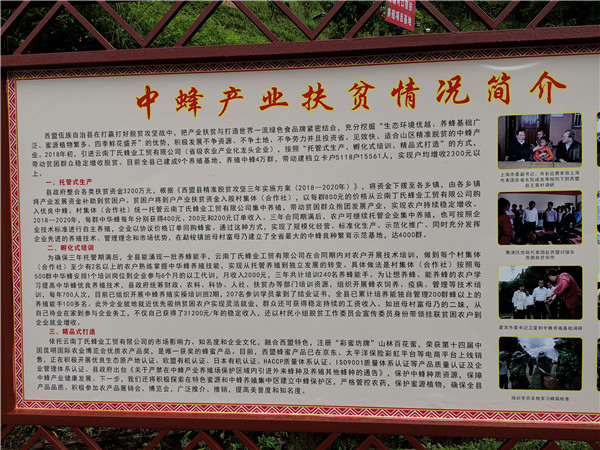 養(yǎng)蜂場根據(jù)用工需要，為貧困戶安排工作崗位