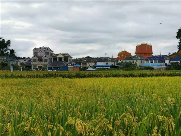 美麗的曼拉村小組
