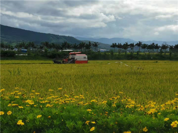 實行機械化耕種