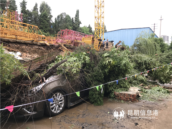 微信圖片_20190814113532 微信圖片_20190814113532