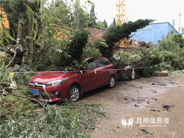 微信圖片_20190814113528 微信圖片_20190814113528