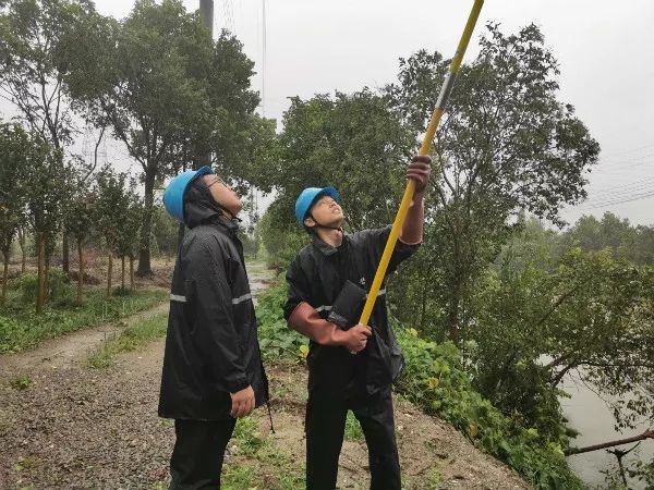 狂暴的臺風中，請記住這些無畏的“平民英雄”！